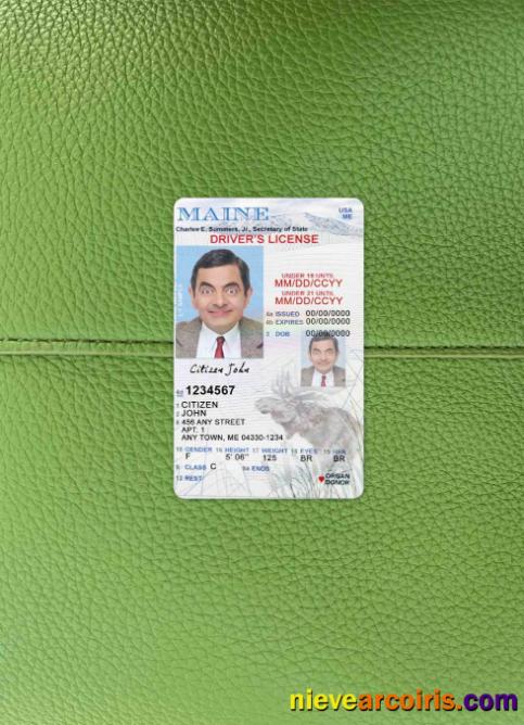 USA Maine driving license photolook